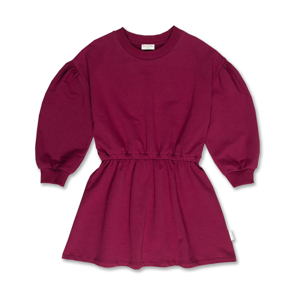Skater Dress Blush | Beaujolais
