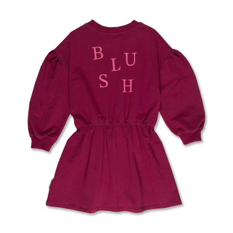 Skater Dress Blush | Beaujolais