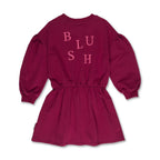 Skater Dress Blush | Beaujolais