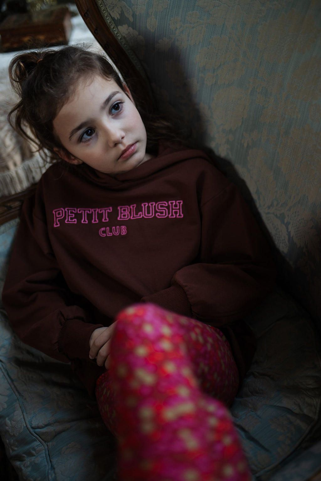 Hooded Sweater | Brown