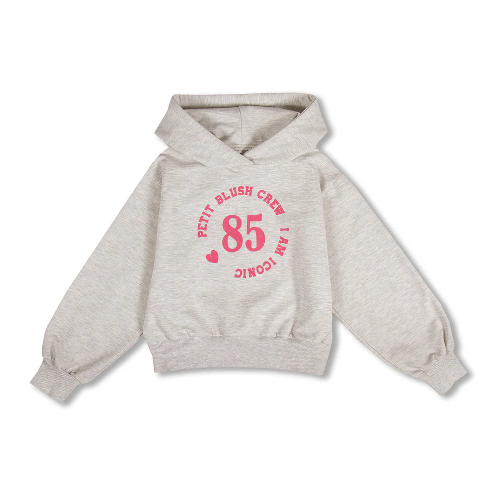 Hooded Sweater | Grey Melange