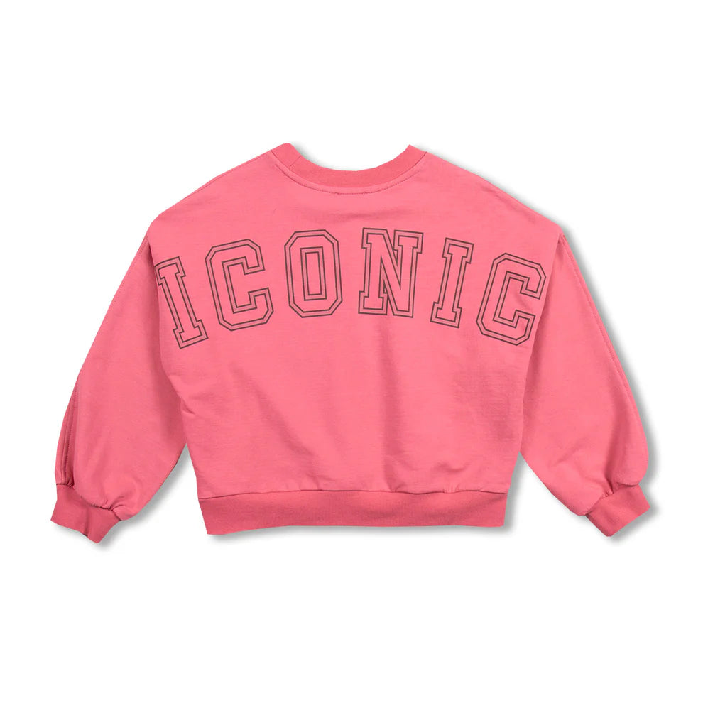 Luca Sweater Iconic | Fruit Dove