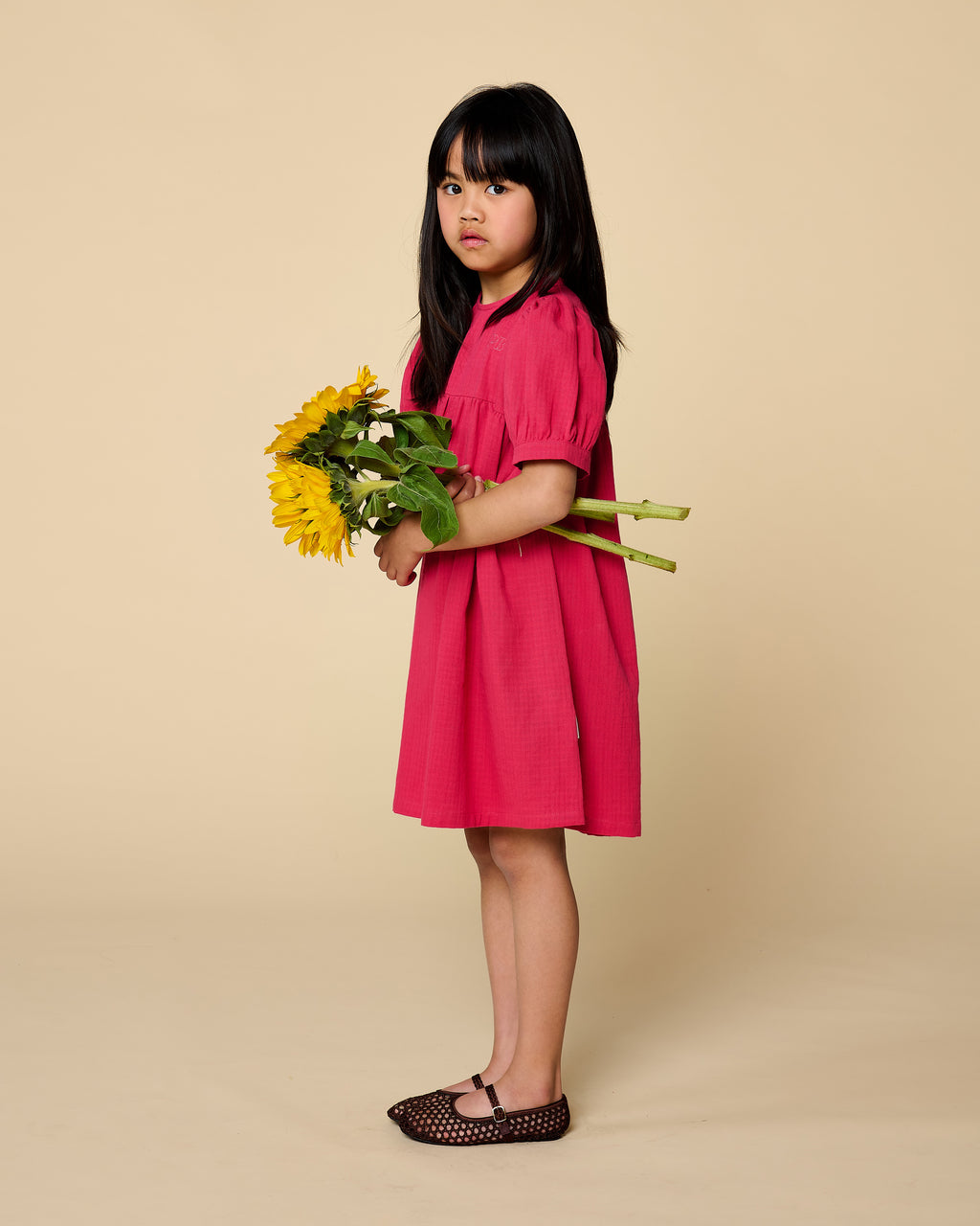 Puff Sleeve Dress | Raspberry Wine