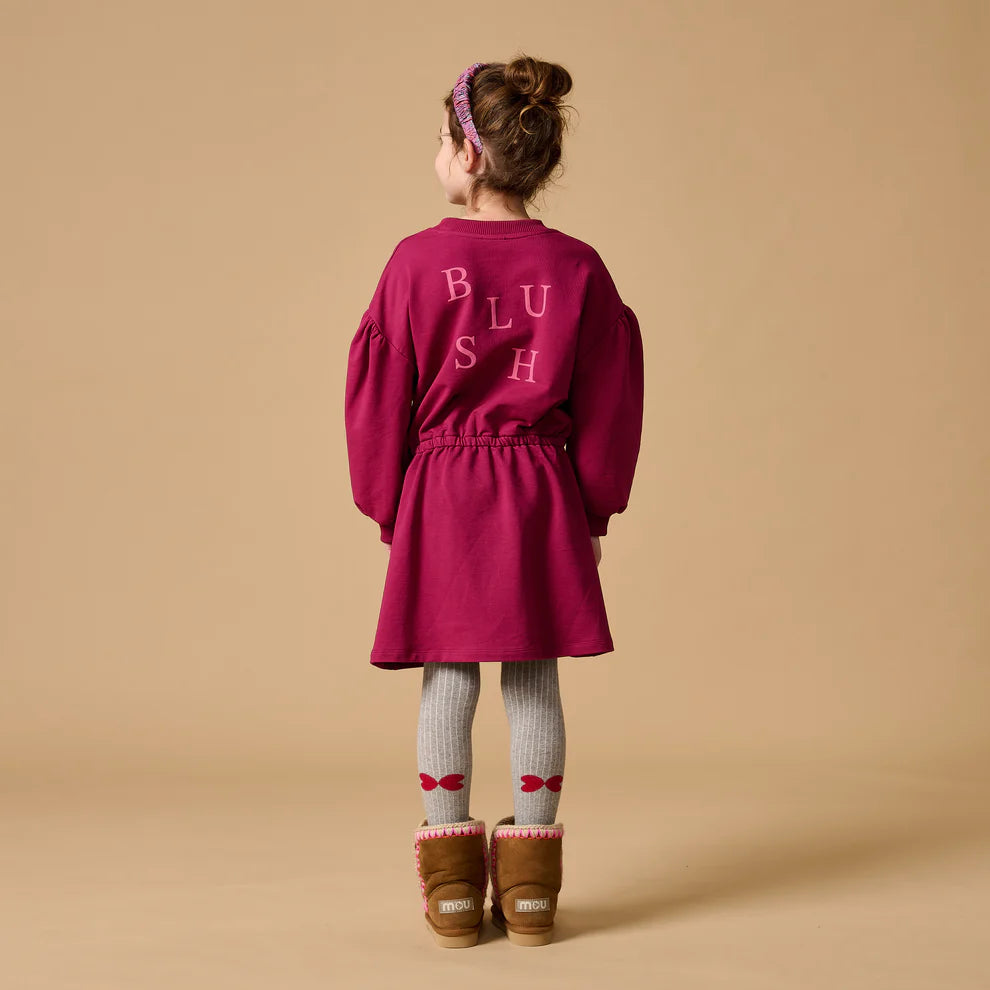 Skater Dress Blush | Beaujolais