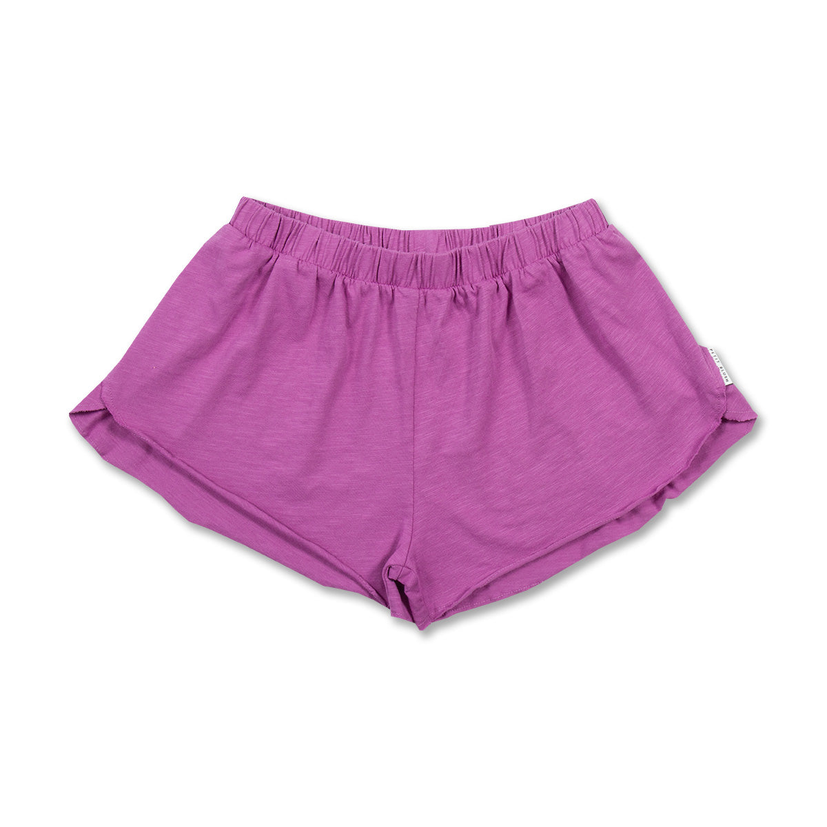 Mini Short | Cattleya Orchid