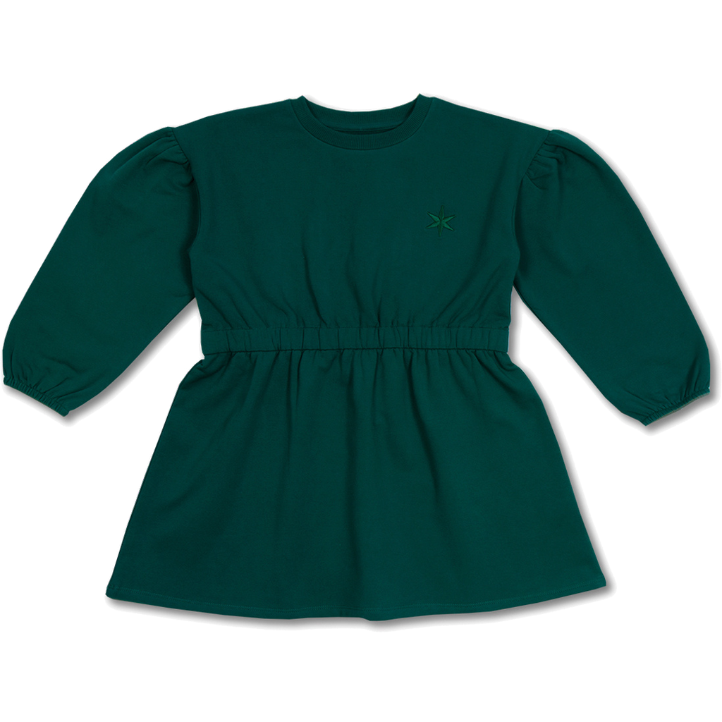 Skater Dress Ballon Sleeve | Aventurine