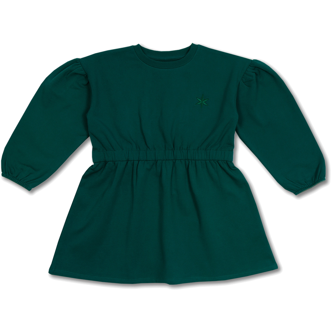Skater Dress Balloon Sleeve | Aventurine