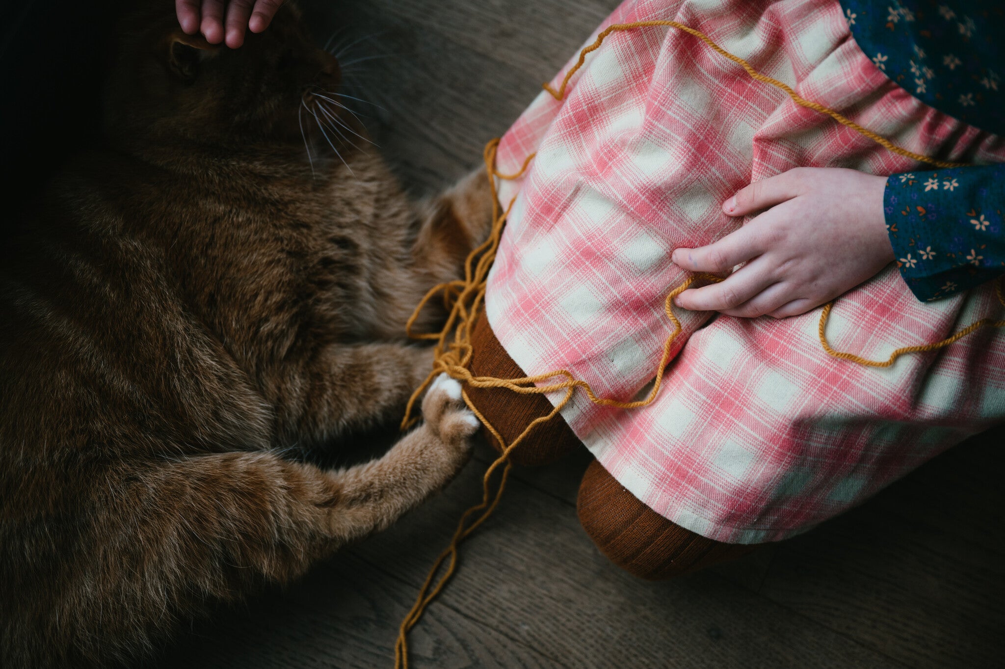 Mini Skirt | Check Rosette