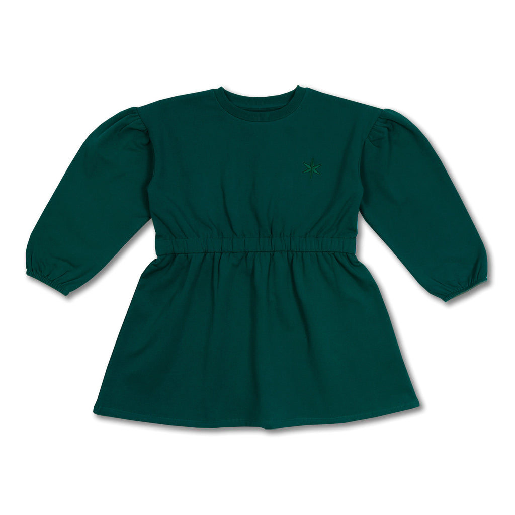 Skater Dress Ballon Sleeve | Aventurine